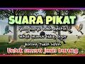 Download Lagu Hanya boleh dipakai sekali !! Karna suara pikat ini bikin semua burung di kebon nyangkut 