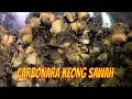 Download Lagu CARBONARA KEONG SAWAH | JEJAK SI GUNDUL (06/12/21)