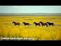 Download Lagu Самая красивая мелодия в мире🌿Эту музыку можно слушать вечно🌿 Отличная музыка Сергея Грищука