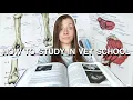HOW TO STUDY IN VET SCHOOL study tips for Anatomy Physiology and Clinical Medicine