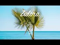 Download Lagu LiQWYD \u0026 Waesto - Zalora [Official]