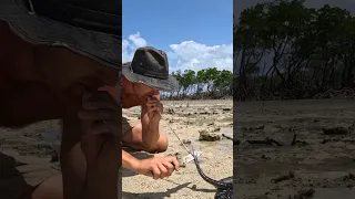 Stingray Catch & Cook 🔱 (Watch his barb!)