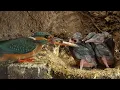 Download Lagu Amazing Footage of Kingfishers Inside Their Nest | Discover Wildlife | Robert E Fuller