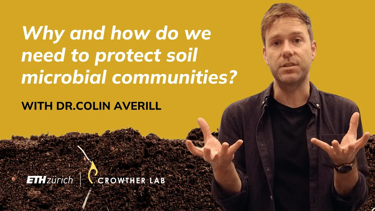Why and how should we protect the soil microbiome? | Q&A with Dr. Colin Averill