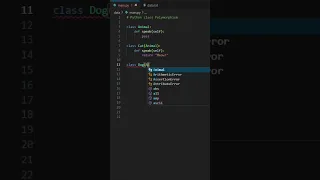 How To Use Polymorphism In Python