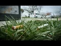 R-Board - Cigarette Butts