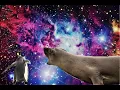 Download Lagu UNIVERSE (sped up)       Coldplay X BTS