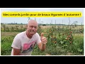 Download Lagu A la conquete de beaux légumes d 'automne  dans le jardin de Philippe !