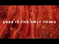 Download Lagu Lost Frequencies - Love Is The Only Thing