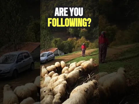 You Can't Follow Someone While Standing Still 🔥
