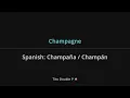 Tito Double P - Champagne Lyrics English Translation - Spanish and English Dual Lyrics  - Subtitles