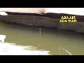 Download Lagu Mau gak percaya tapi ini nyata!! Ratusan ikan terperangkap disini