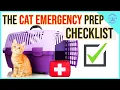 Disaster Preparedness for Cats in Emergencies