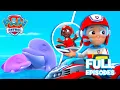 Pups Save a Dolphin Pup FULL Episode PAW Patrol Compilation