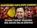 Download Lagu 💥EKSPERIMEN KUPU-KUPU KUNING!! KEAJAIBAN BISA DATANG DALAM HIDUPMU