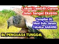 Download Lagu 🔴TEKUKUR PENGUAS4 TUNGG4L||JALAN KELOKASI SANGAT EKSTR!M‼️LEMBAH CUR4M#@TekukurSianjur