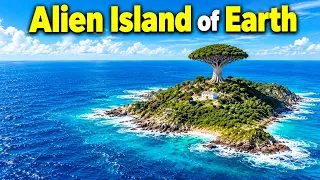 ये धरती है या कोई दूसरा ग्रह? सोकोट्रा का रहस्य| Socotra: The Alien Island on Earth
