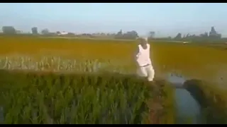 ياحول الله يارب يارب هات العوائد سليمة يارب دندنها
