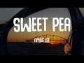 Amos Lee - Sweet Pea (Lyrics)