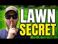 Do You Apply Molasses To Your Lawn WATCH THIS