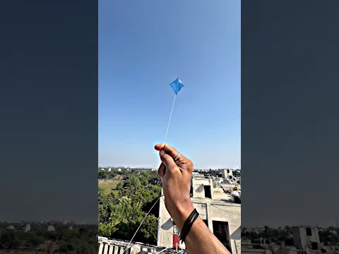 Blue Kite Flying😍🪁