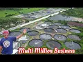 Download Lagu Beginners Guide in Shrimp Farming, a Multi Million Farming Business