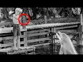 Secrets Scandals Behind the Scenes of Flipper 1964