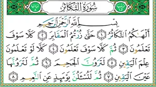     سورة التكاثر    الشيخ أيمن رشدي سويد دندنها