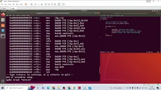 c to assembly debug while loop