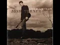 Josh Turner - In My Dreams