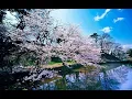 Download Lagu Peaceful \u0026 Beautiful Kdrama Piano – Tempted: The Great Seducer OST