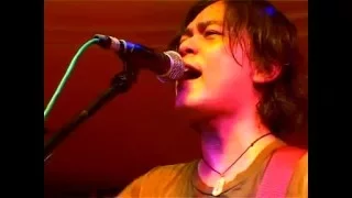 spider kasih latifah live planet