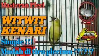 Download Masteran Pleci WIT WIT KENARI MP3