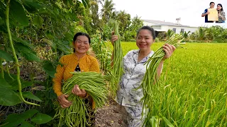 Hái đậu bún Nấu nồi thịt kho trứng Miền Tây ở Quê nhà Phan Diễm gửi bà con làm đường Lũng Chàm