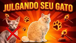 NOTA DE ZERO a 10 PARA OS GATOXINHAS! - Avaliando Gatoxinhas # 9