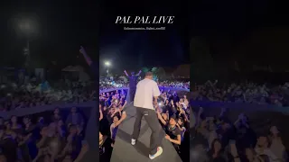 Pal Pal Live At OG Fest Lahore Music Palpal Afusic 