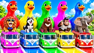 Gaming Music | 5 Giant Duck Cartoon | Paint Wild Animals Crossing Fountain Animation | MAP 055