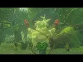 Hestu's Dance! (BotW VS TotK Dances)