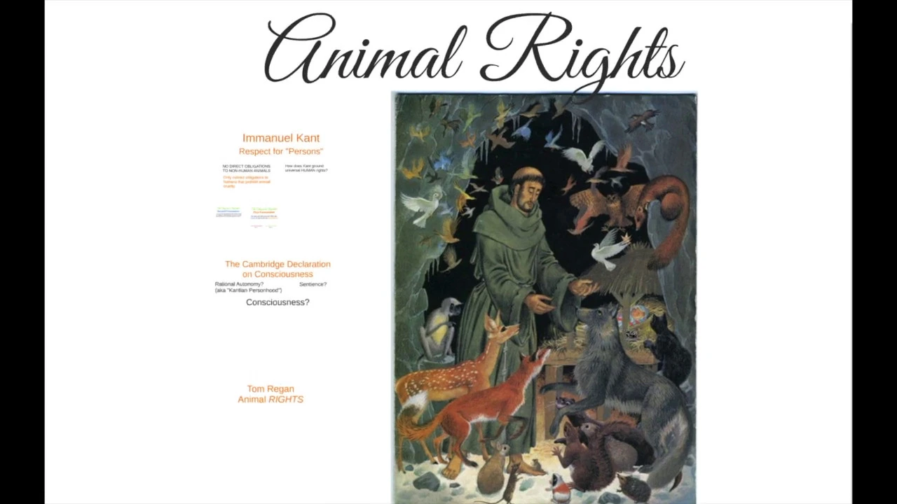 Animal Rights