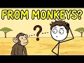 Where Did Humans Actually Come From