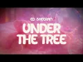 Download Lagu ed sheeran ✨ under the tree ✨ ~ lyrics