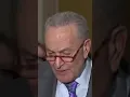 Schumer Asked If New York Democrats Are Reflecting On Poor Midterm Showing