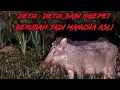 Download Lagu Live misteri‼️BANTU BUBARKAN RITUAL BAB1 NGEPET