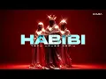 Hamza Khan - Habibi (Arabic Tech House Remix) | Arabic Tech House & Tech House 2026