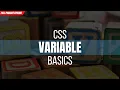CSS Variables - What Are They How to Use Them