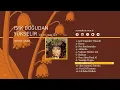 Sezen Aksu - Ne Ağlarsın (Official Audio)