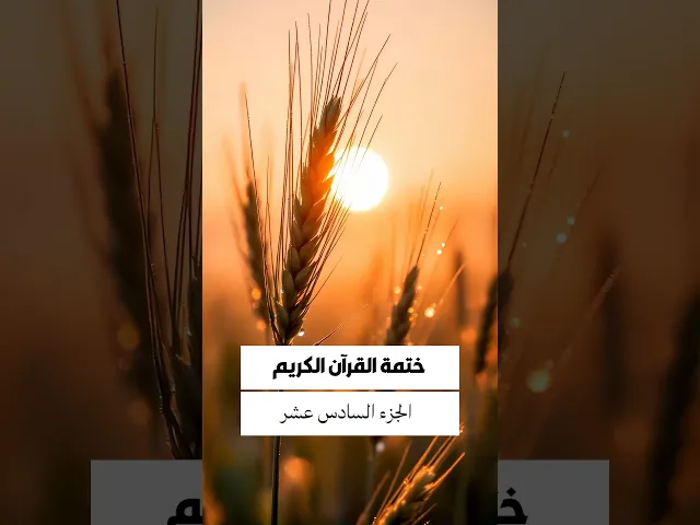 ⁣الجزء السادس عشر من القرآن الكريم..