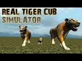 Download Lagu Real Tiger cub Simulator Android gameplay Games plays walkthrough HD iOS