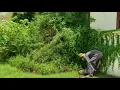 Download Lagu [EYE-SATISTING TRANSFORMATION] The result of cleaning up a 2-year abandoned building
