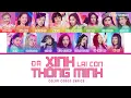 Download Lagu 🎀Đã Xinh Lại Còn Thông Minh  (Color Coded Lyrics) | Em Xinh Say Hi
